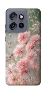 Чехол на Motorola Edge 50 Neo Flowers v26 фото 1 из 1