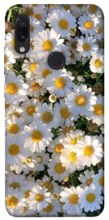 Чохол на Xiaomi Redmi Note 7 / Note 7 Pro / Note 7s Поле ромашок фото 1 з 1