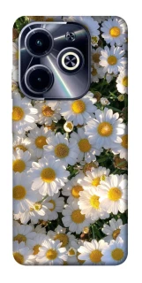 Чохол на Infinix Hot 40i Поле ромашок фото 1 з 1