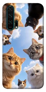 Чехол на Huawei Honor 20 Pro Cats фото 1 из 1