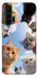 Чохол на Huawei Honor 20 Pro Cats фото 1 з 1