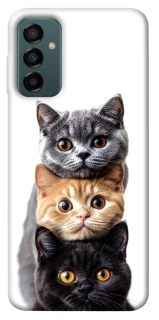 Чохол на Samsung Galaxy M23 5G Гарні котики фото 1 з 1