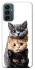 Чохол на Samsung Galaxy M23 5G Гарні котики фото 1 з 1