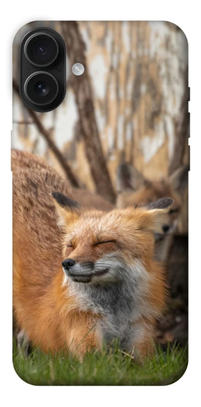 Чехол на Apple iPhone 16 Plus Лиса фото 1 из 1