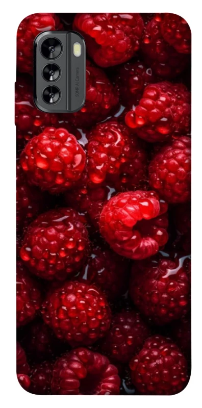 Чехол на Nokia G60 Малинка фото 1 из 1