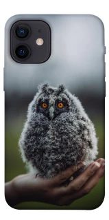 Чохол на Apple iPhone 12 mini (5.4") Совеня фото 1 з 1