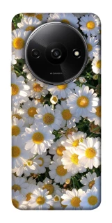 Чехол на Xiaomi Redmi A3 Поле ромашек фото 1 из 1