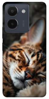 Чохол на Vivo Y36 Cat paws фото 1 з 1