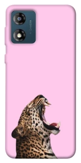 Чехол на Motorola Moto E13 Leopard Meow фото 1 из 1