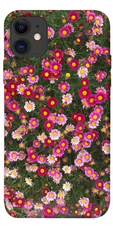 Чохол на Apple iPhone 11 (6.1") Flowers v8 фото 1 з 1