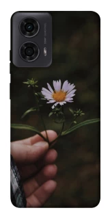 Чехол на Motorola Moto G24 Ромашка v4 фото 1 из 1
