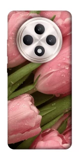 Чохол на Oppo Reno 12 F 4G/5G Beauty фото 1 з 1