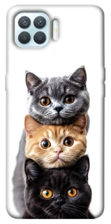 Чохол на Oppo F17 Pro Гарні котики фото 1 з 1