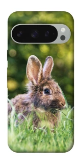 Чехол на Google Pixel 10 Pro XL Кролики фото 1 из 1