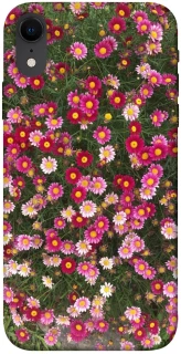 Чохол на Apple iPhone XR (6.1") Flowers v8 фото 1 з 1