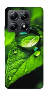 Чохол на Xiaomi 14T Flowers v16 фото 1 з 1