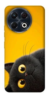 Чехол на TECNO Spark 30 Pro (KL7) This is Cat фото 1 из 1