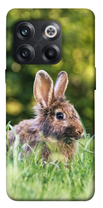 Чохол на OnePlus 10T Кролики фото 1 з 1