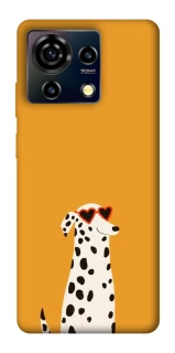 Чехол на ZTE Blade V50 Vita Долматинец фото 1 из 1