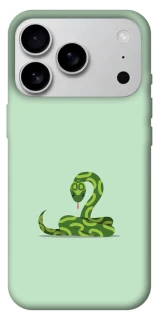 Чохол на Apple iPhone 17 Pro Max (6.9") Змійка фото 1 з 1