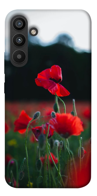 Чохол на Samsung Galaxy A34 5G Мак фото 1 з 1