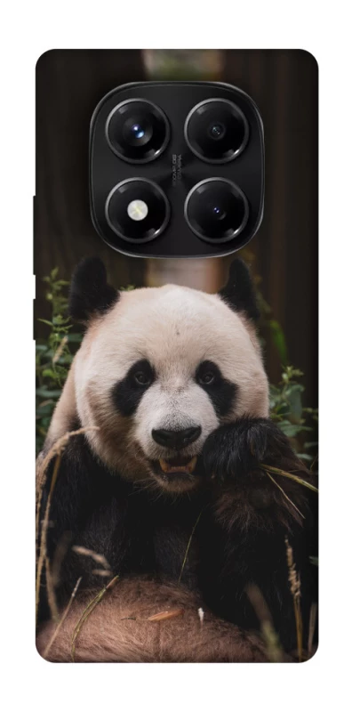 Чехол на Xiaomi Redmi Note 14 Pro 5G Панда фото 1 из 1