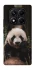 Чехол на Xiaomi Redmi Note 14 Pro 5G Панда фото 1 из 1