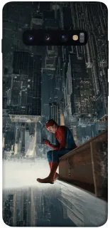 Чехол на Samsung Galaxy S10+ Spider Man ver.5 фото 1 из 1