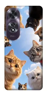 Чехол на Oppo A60 Cats фото 1 из 1