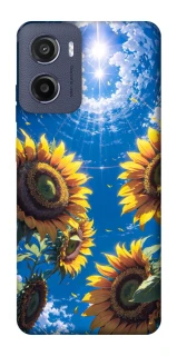 Чохол на Motorola Moto E15 Sunflowers фото 1 з 1