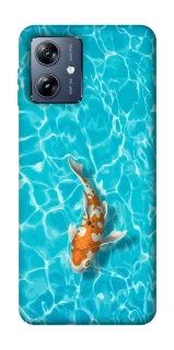 Чехол на Motorola Moto G54 Power Fish фото 1 из 1