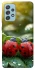Чохол на Samsung Galaxy A52 4G / A52 5G Flowers v23 фото 1 з 1