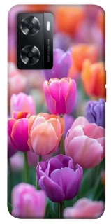 Чохол на Oppo A57s Тюльпанове поле фото 1 з 1
