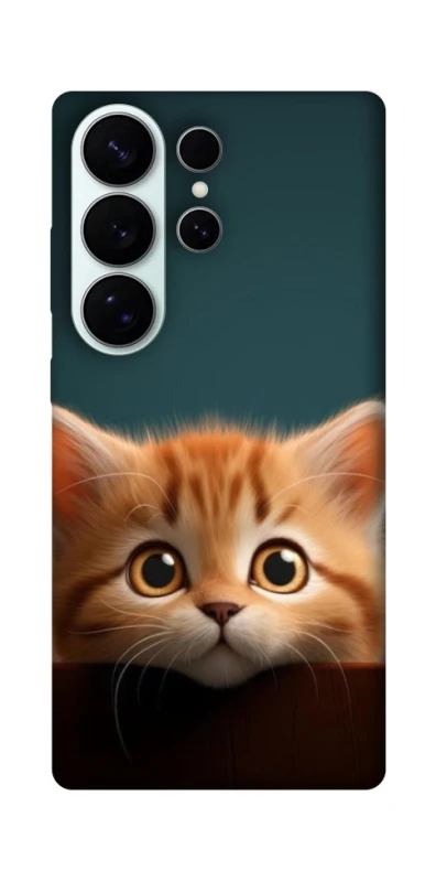 Чохол на Samsung Galaxy S26 Pro Чохол Кошеня фото 1 з 1