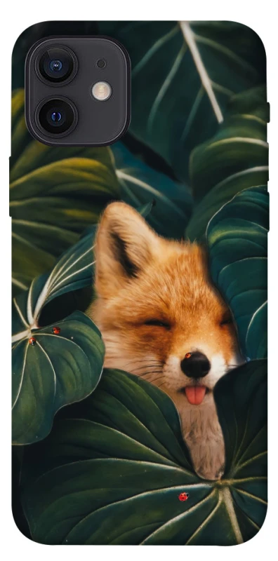 Чехол на Apple iPhone 12 (6.1") Fox фото 1 из 1