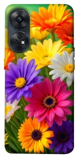 Чохол на Oppo Reno 8T 4G Flowers v32 фото 1 з 1