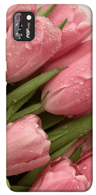 Чохол на TECNO POP 4 Pro Beauty фото 1 з 1