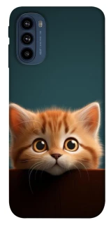 Чехол на Motorola Moto G41 Чехол Котёнок фото 1 из 1