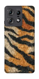 Чохол на Motorola Edge 50 Pro Tiger фото 1 з 1
