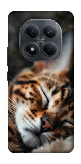 Чехол на Xiaomi Redmi Note 15 Pro 4G Cat paws фото 1 из 1