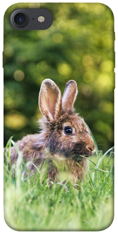 Чехол на Apple iPhone 7 / 8 (4.7") Кролики фото 1 из 1