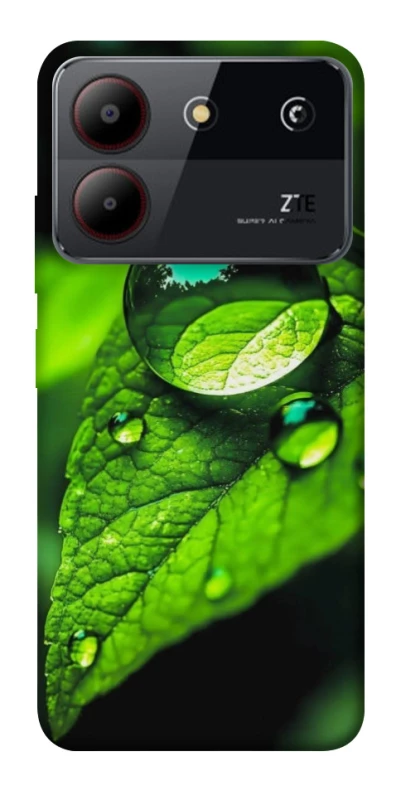 Чохол на ZTE Blade A54 4G Flowers v16 фото 1 з 1