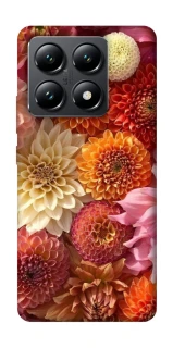 Чехол на Xiaomi 14T Bouquet фото 1 из 1