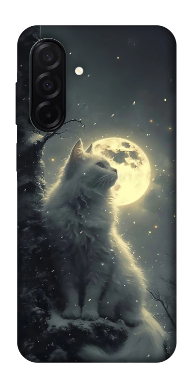 Чохол на Samsung Galaxy A26 5G Кіт під місяцем фото 1 з 1