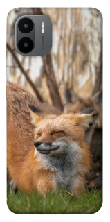 Чехол на Xiaomi Redmi A1 / A2 Лиса фото 1 из 1