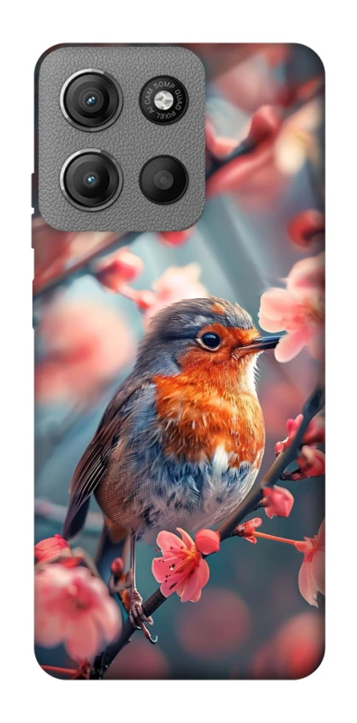 Чехол на Motorola Moto G15 4G Birdie фото 1 из 1
