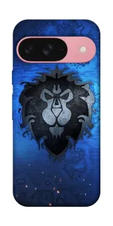 Чехол на Google Pixel 9 Warcraft v1 фото 1 из 1
