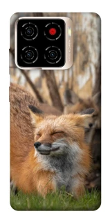 Чехол на ZTE Blade A56 Лиса фото 1 из 1