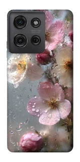 Чохол на Motorola Moto G75 Flowers v10 фото 1 з 1