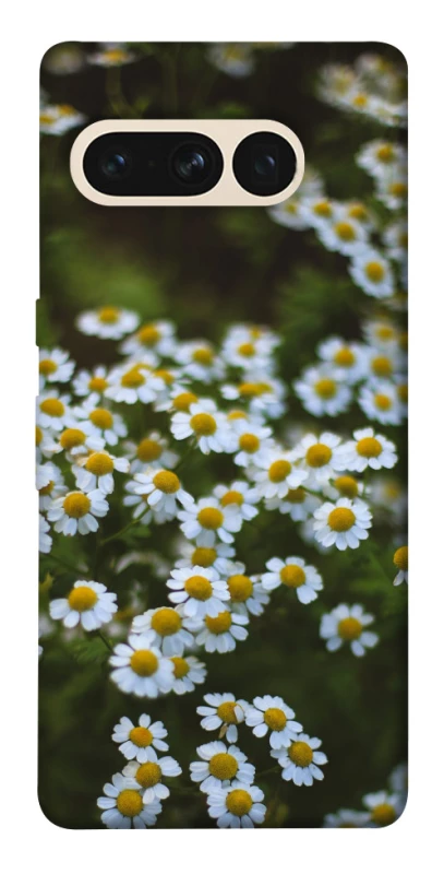 Чехол на Google Pixel 7 Pro Ромашки v13 фото 1 из 1